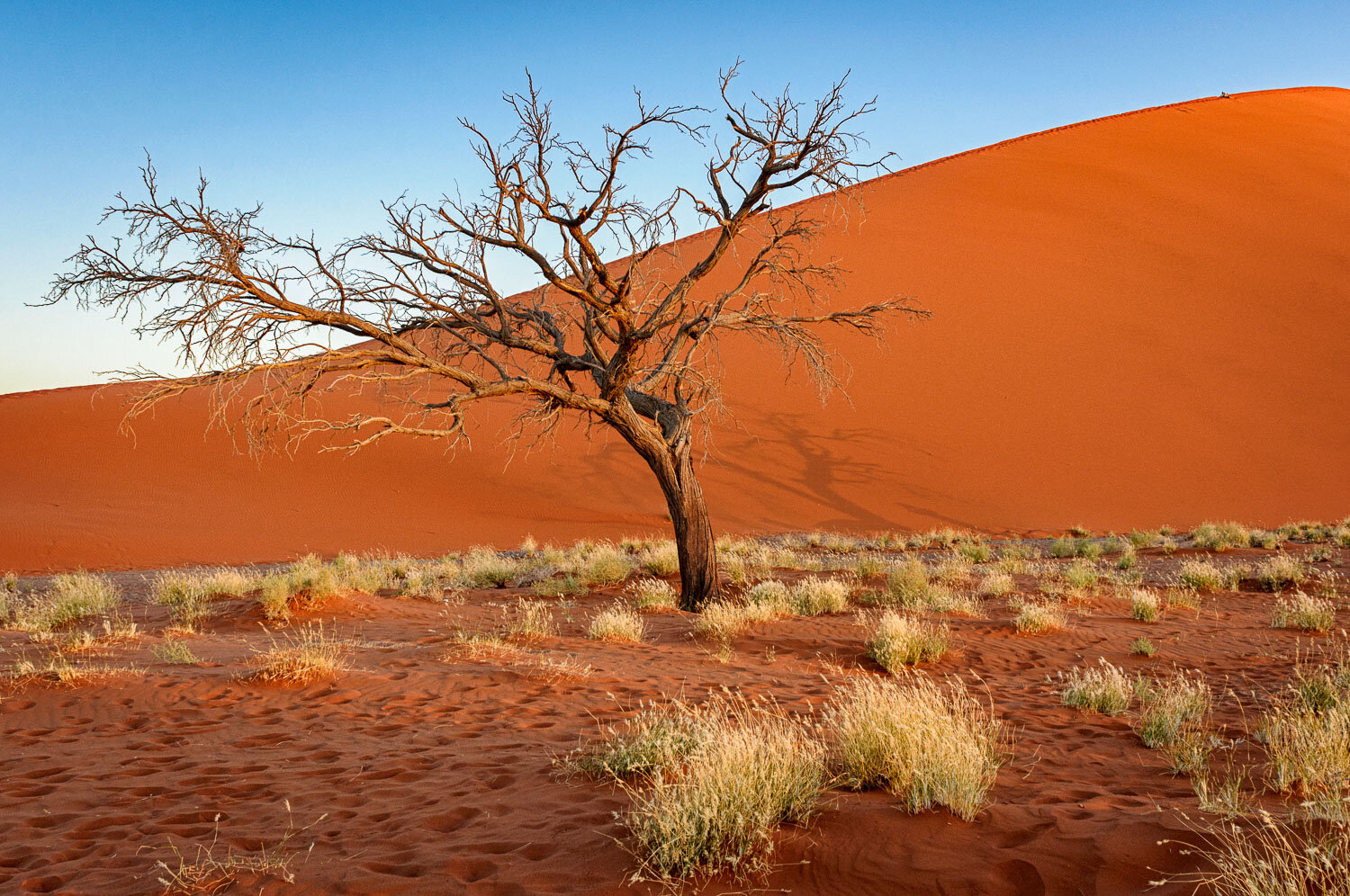 Dune 45, Namibia