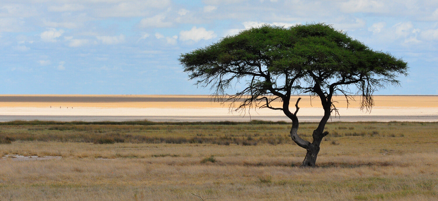 Etosha Pan, Namibia