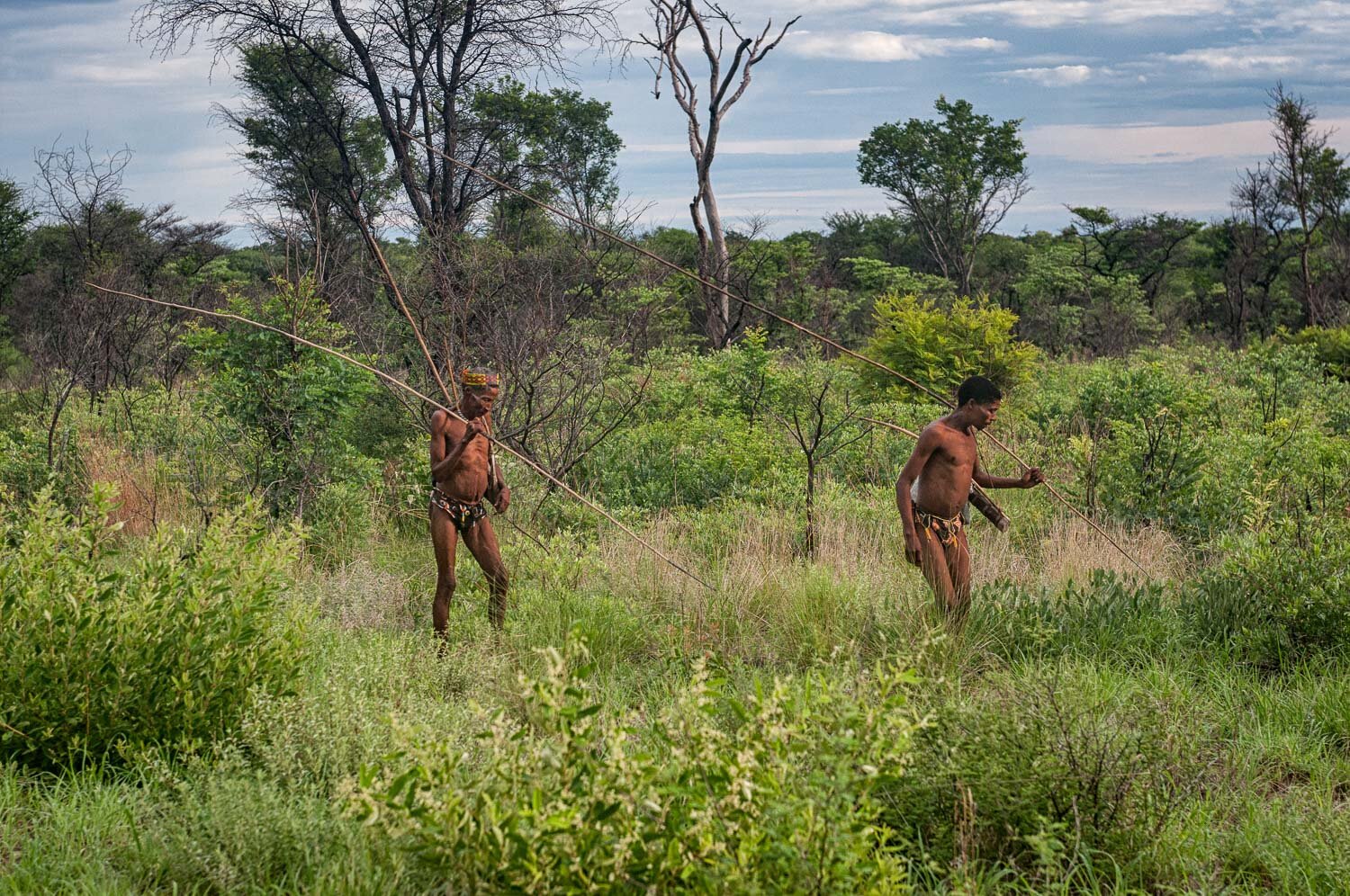 Bushman Hunters, Kalahari, Namibia