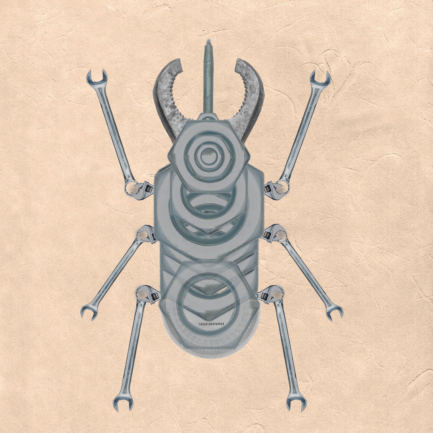 Caucasus Beetle