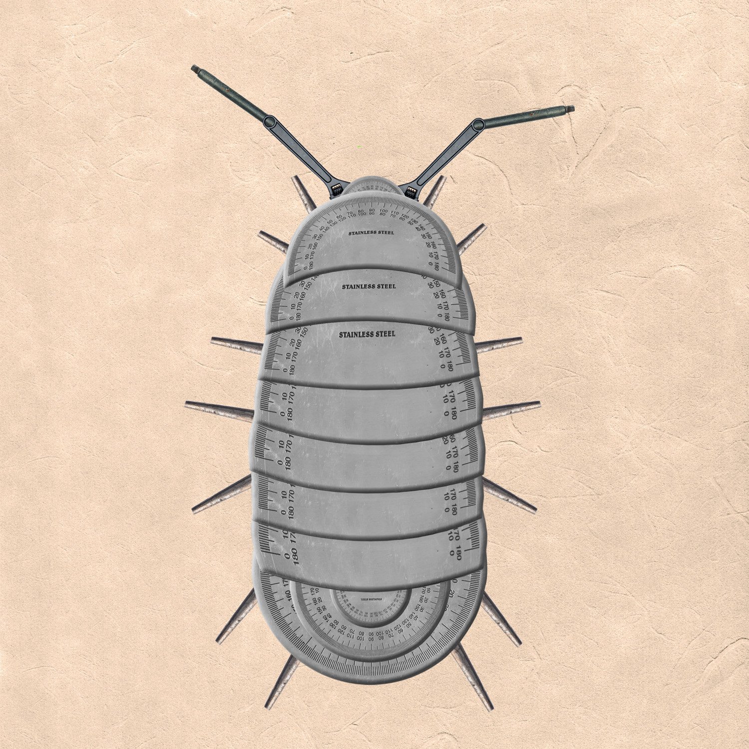 Woodlouse