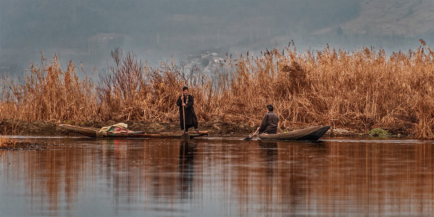 Boats and Reeds on Dal Lake, Srinagar, Kashmir