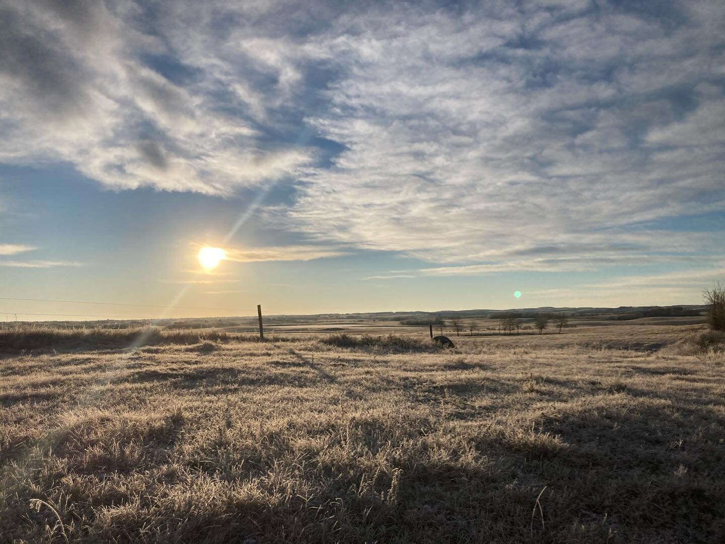 Frosty morn followed by a warm afternoon. #ranchlife