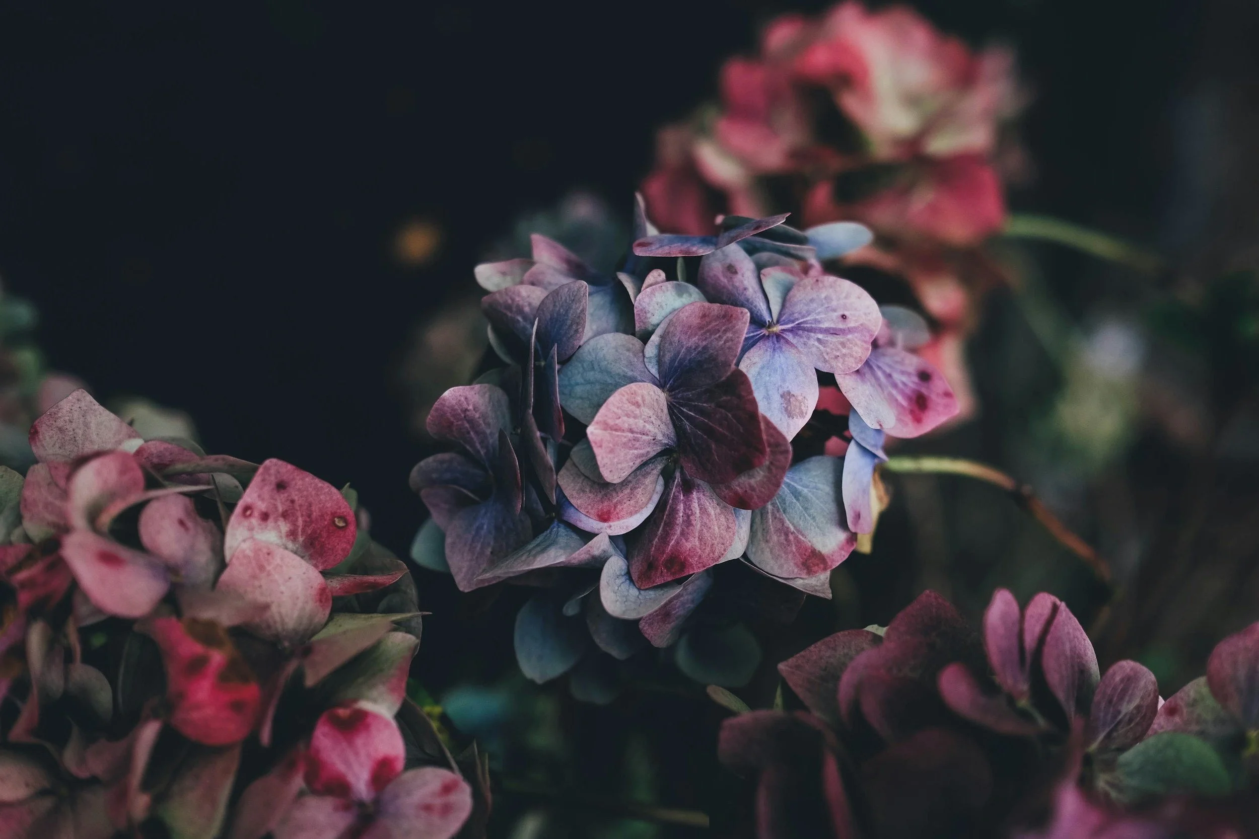 unsplash-image-vs6a4EHj_Ro.jpg