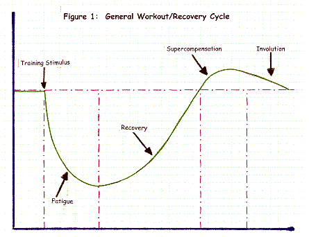 supercomp cycle.gif