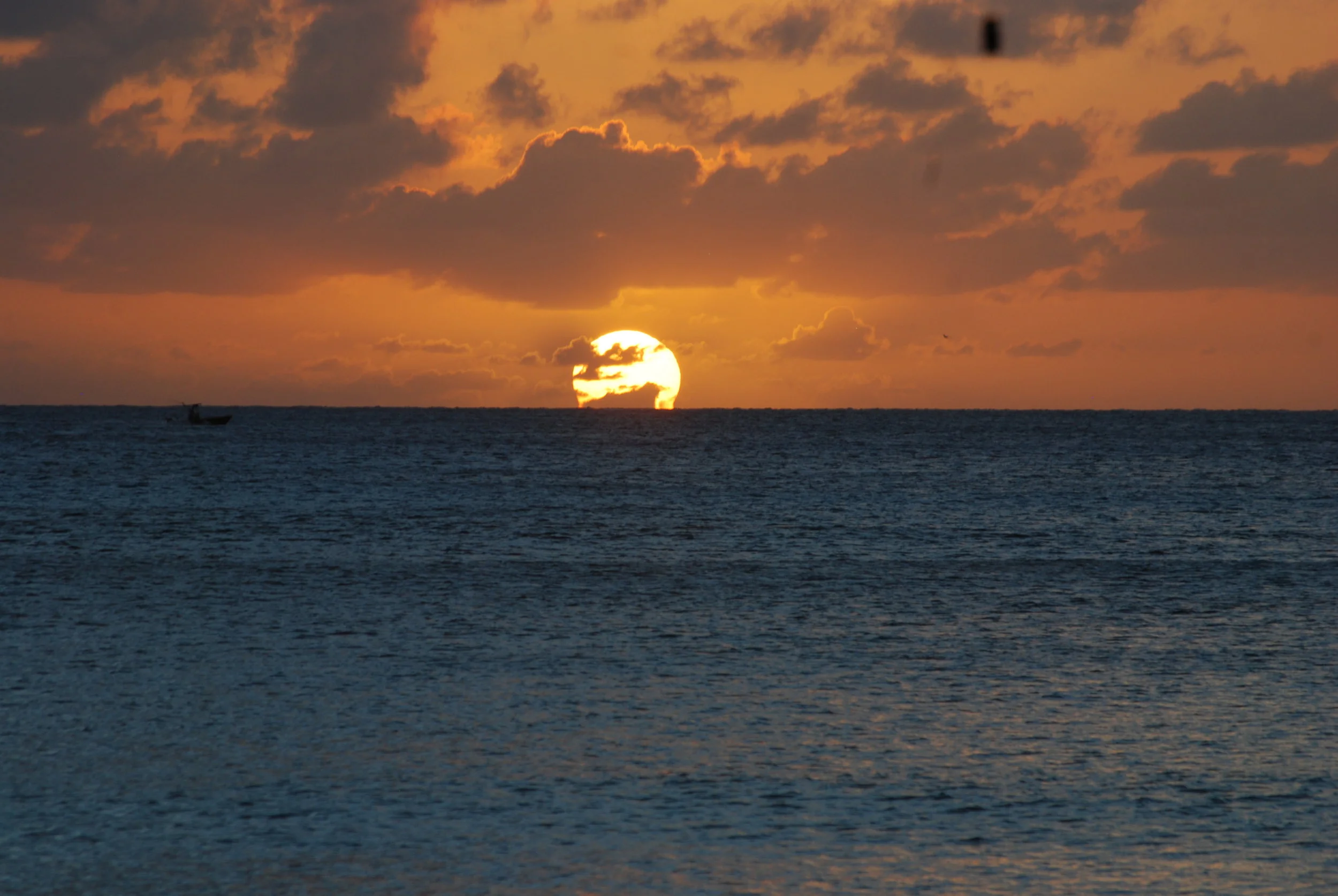 DSC_0085.JPG