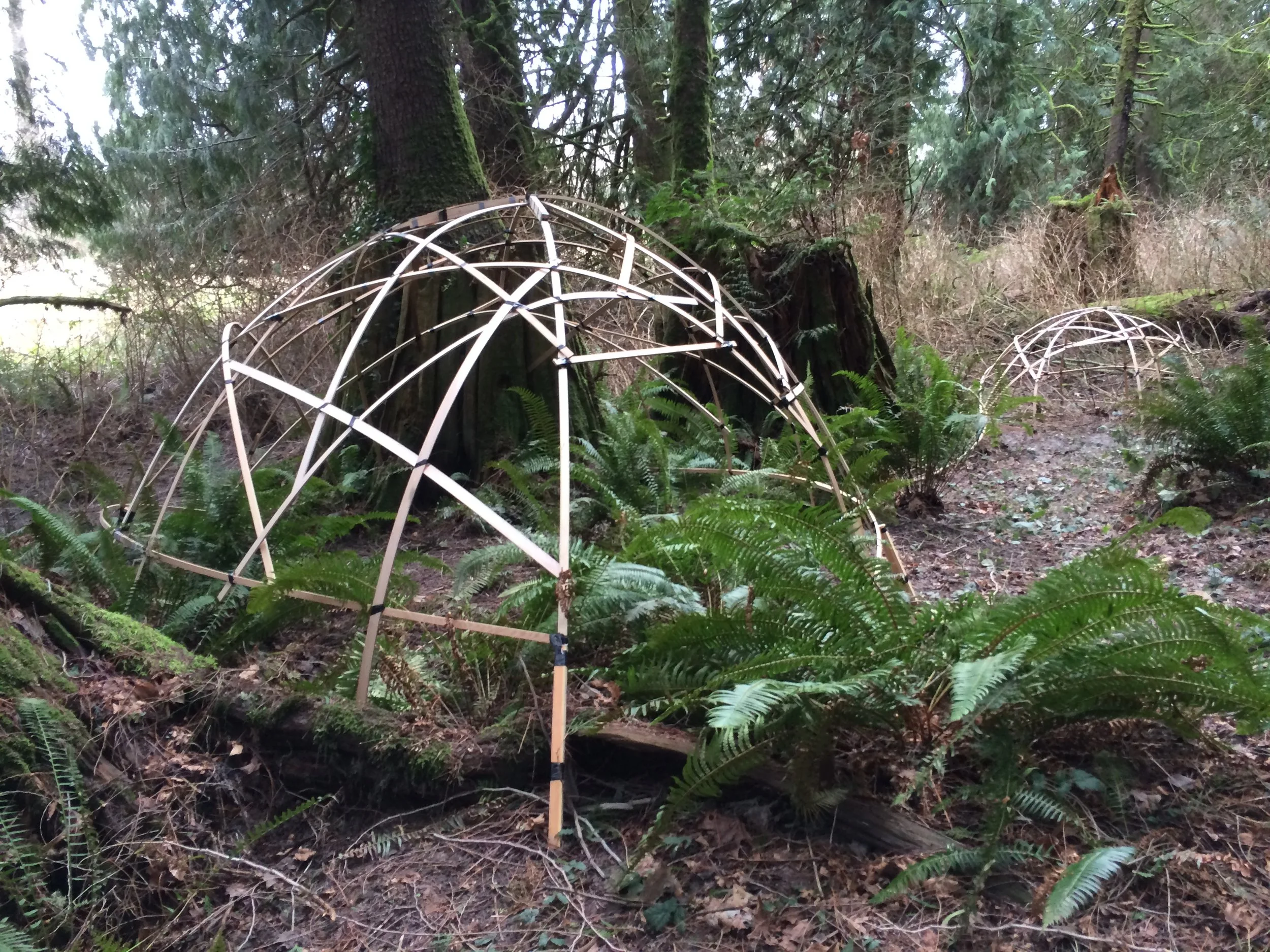 Wigwam frames; duct tape/oak strips by Matt Acosta