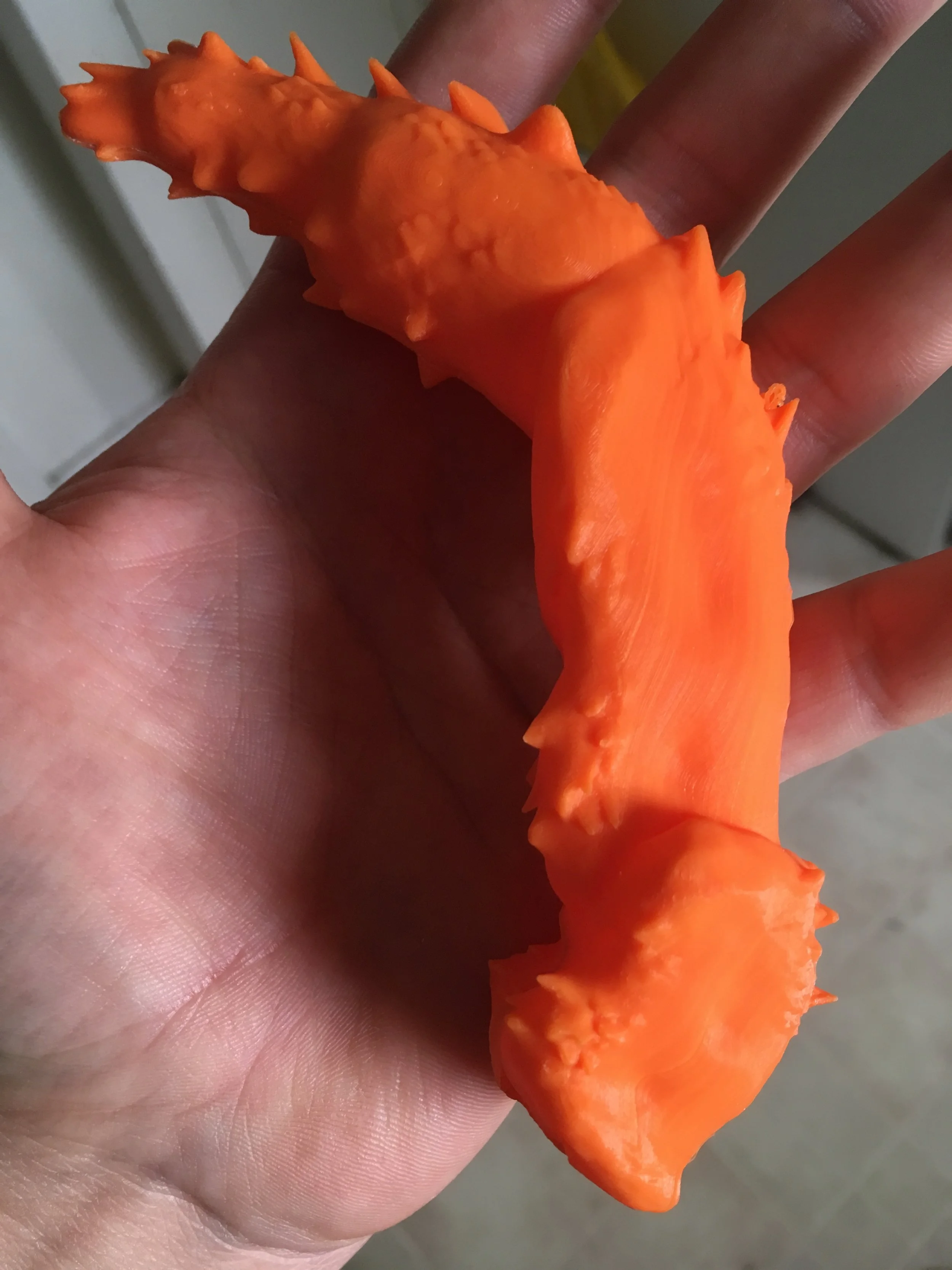 Vestigial arm for scale.