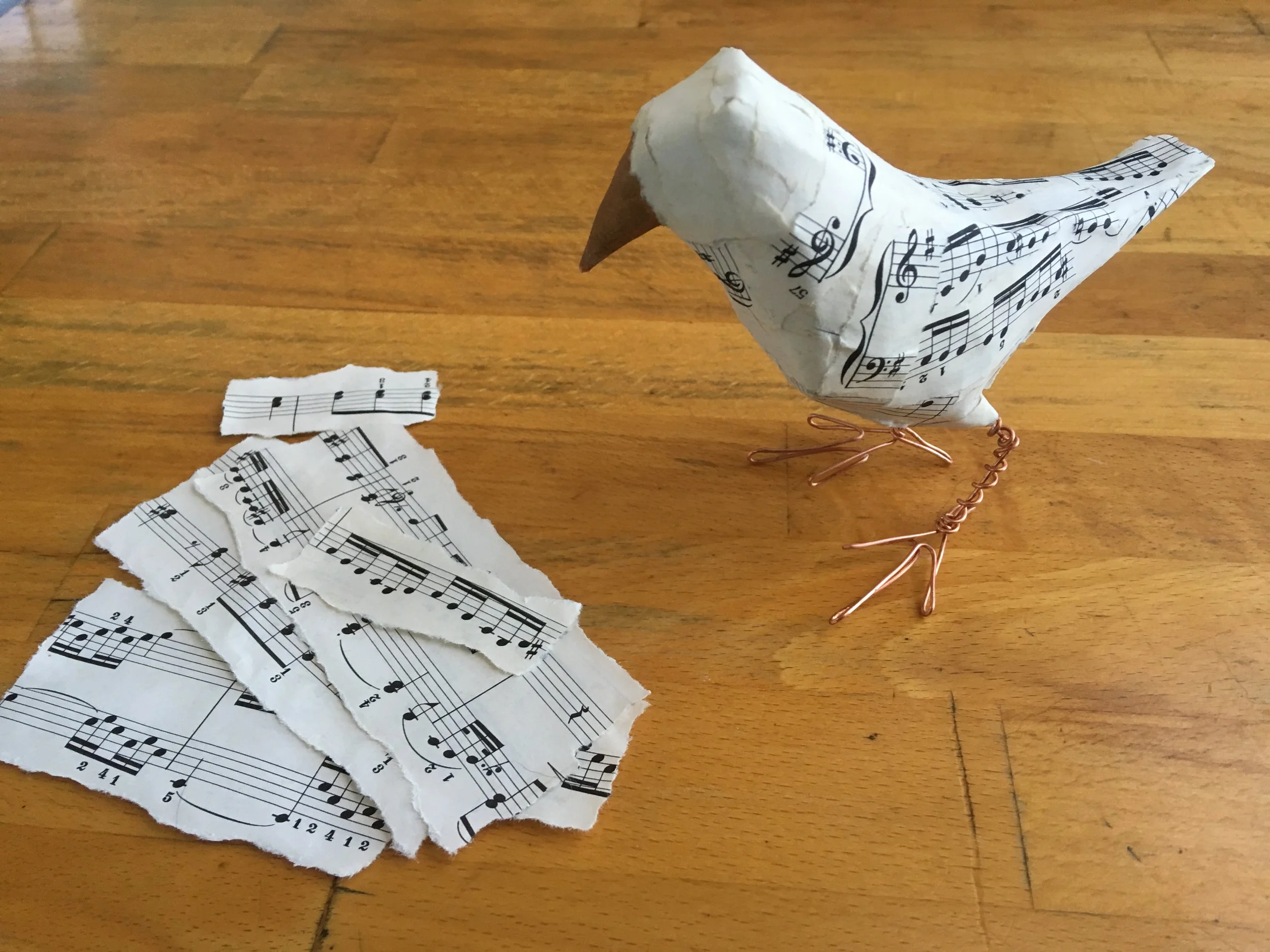 Basic music bird (encountering materials)