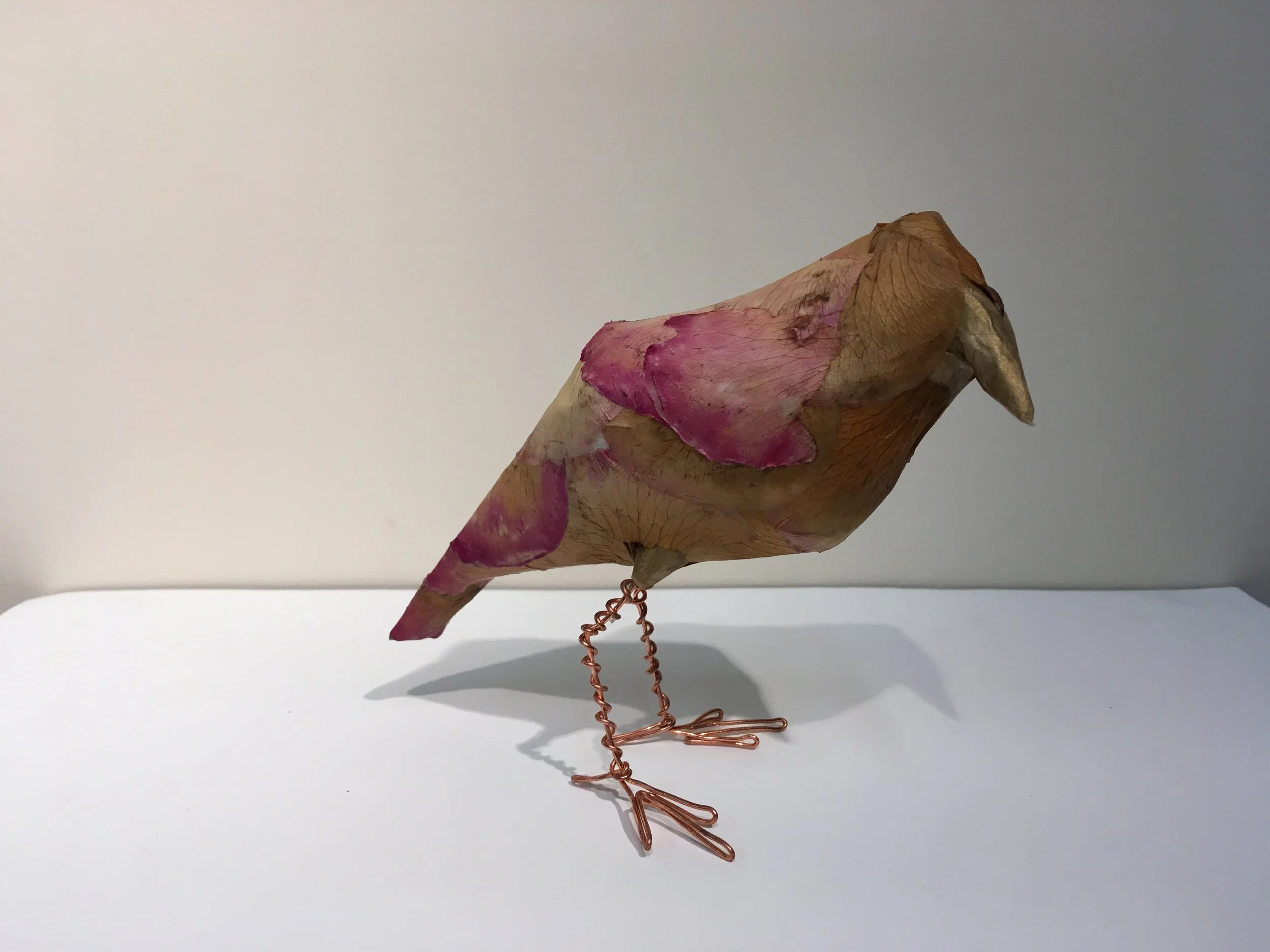 Ratty pink-edged yellow rose bird #2 (2017)