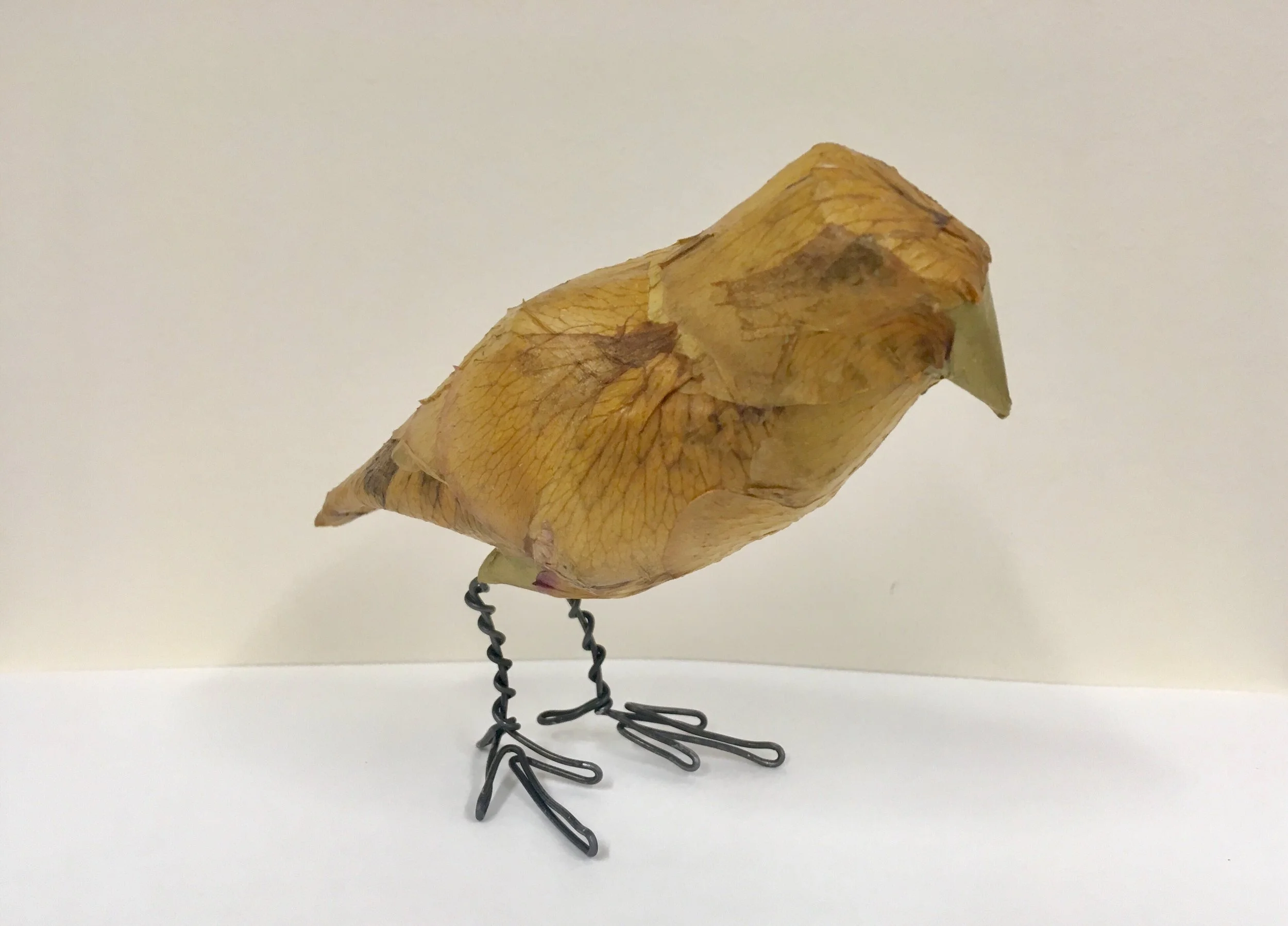 Yellow Rose Petal Bird