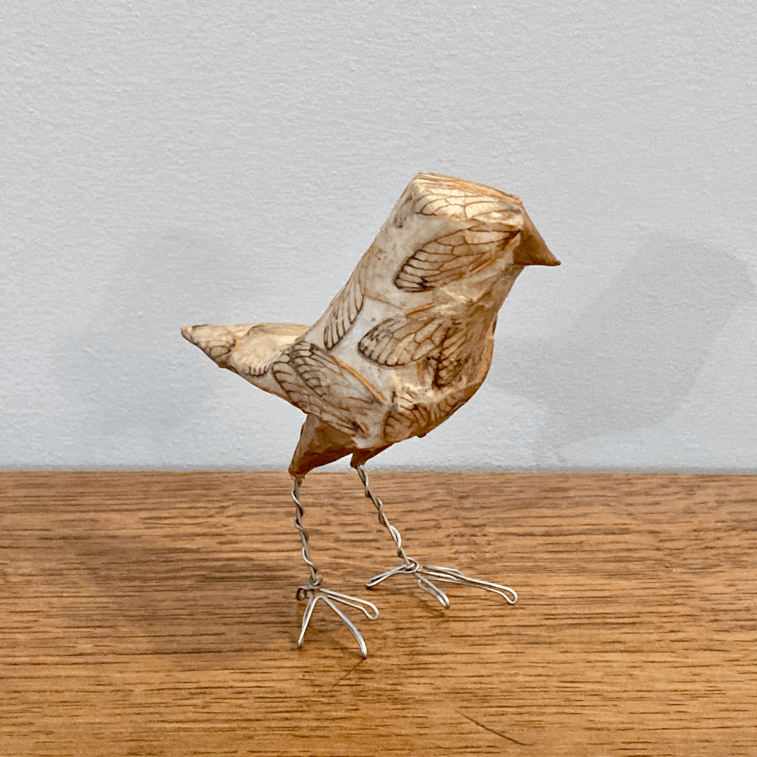 Brood X Cicada Wing Bird