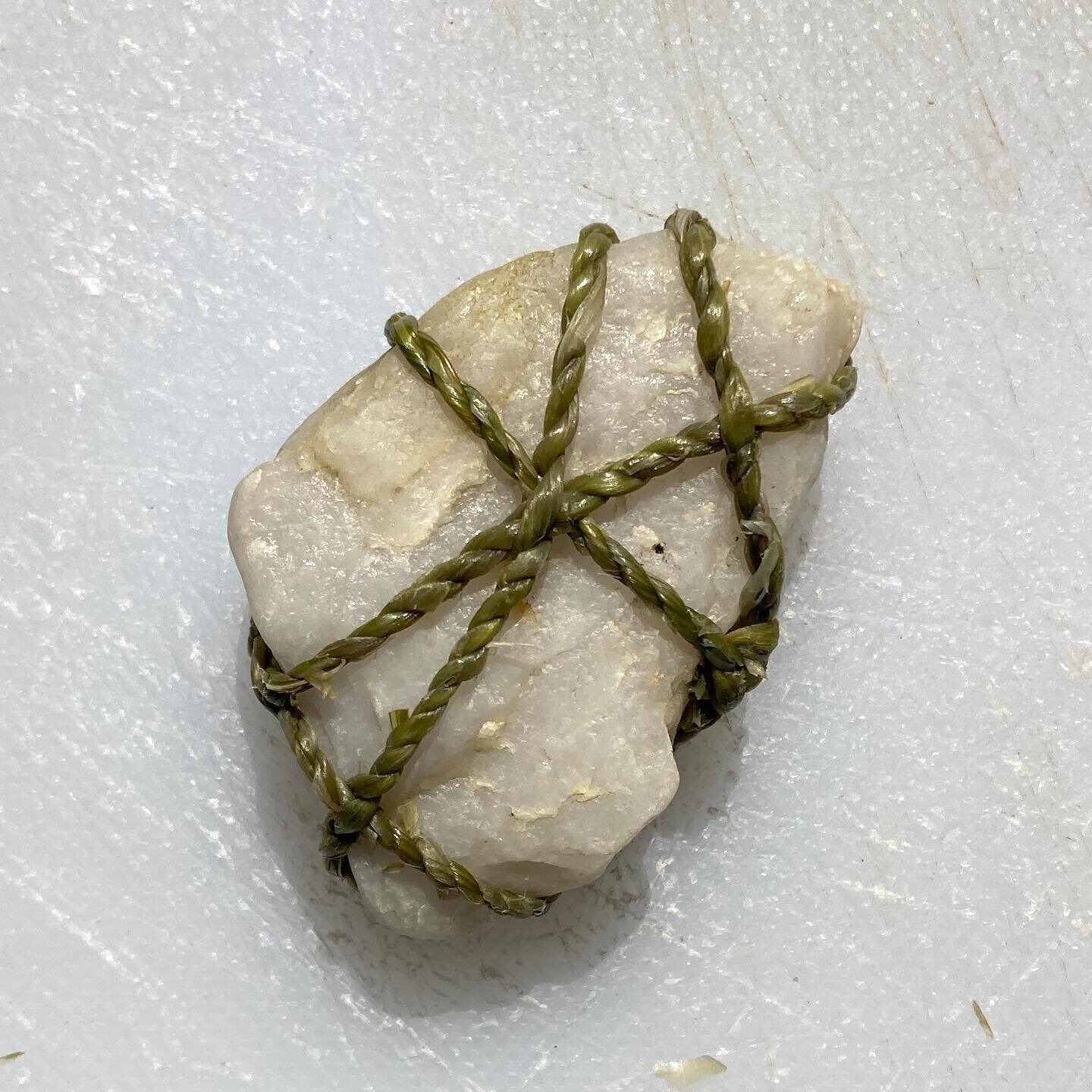 Intertwined overgrown parsley cordage on quartz rock found on Sears Island. 
Deep gratitude to my friend Sandy, whose somewhat haphazard approach to gardening let her parsley grow to 4 feet tall, yielding fiber I could more easily twine into cordage.
