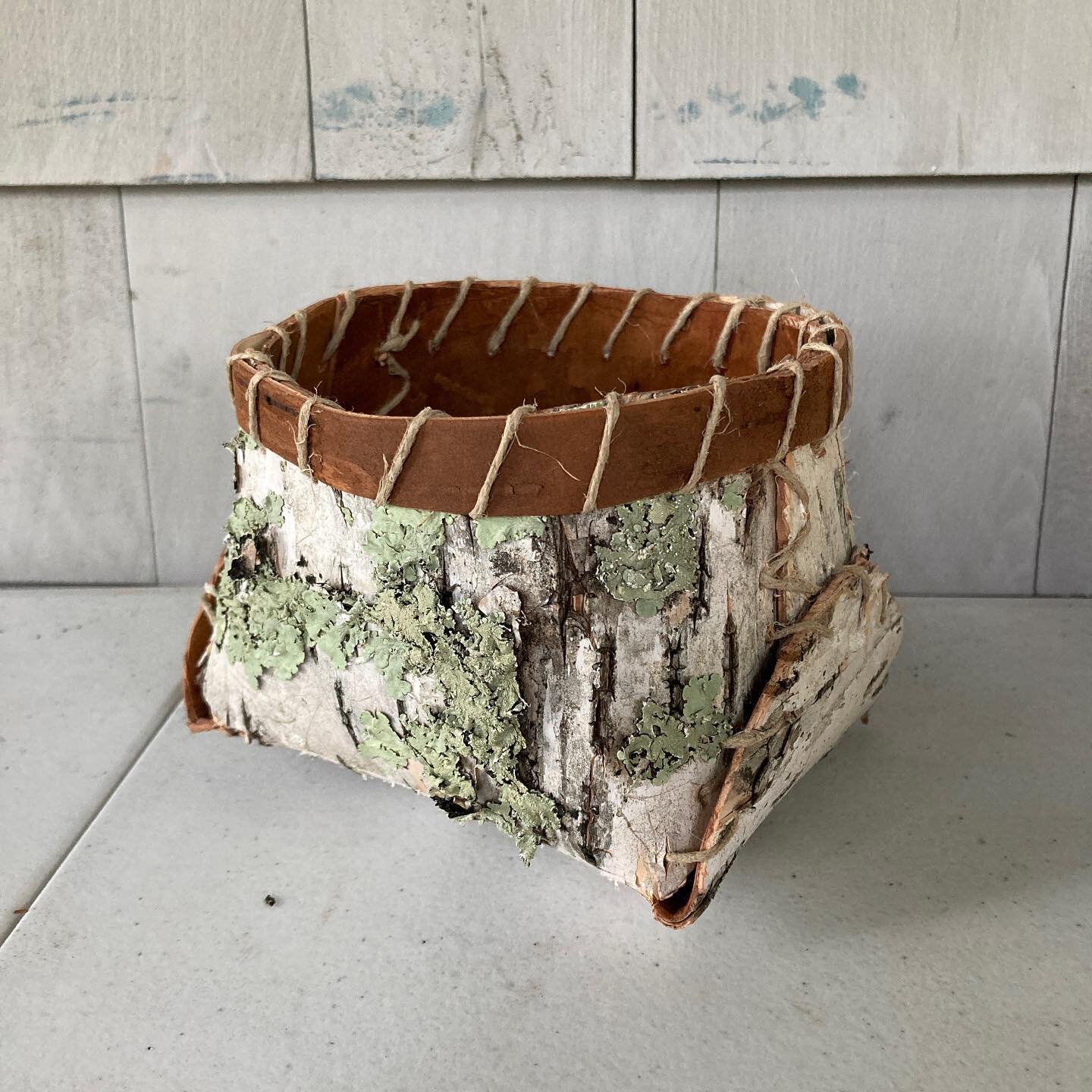 Spent a very gratifying afternoon playing with &quot;new&quot; birch bark from this morning's surprise acquisition. I decided to start with a classic form loosely based on a Penobscot basket (fitting, since I am on the Penobscot Bay). I had hemp twin