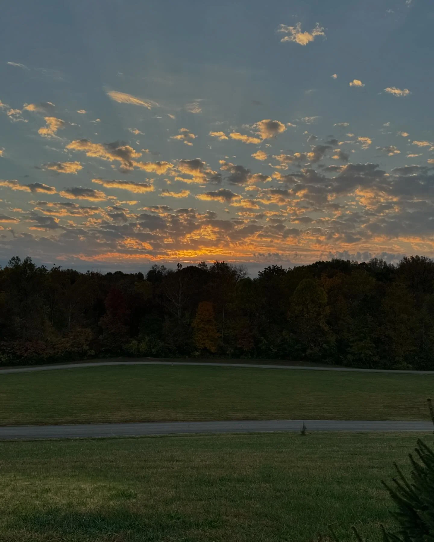 Good morning!
Nature for the win.