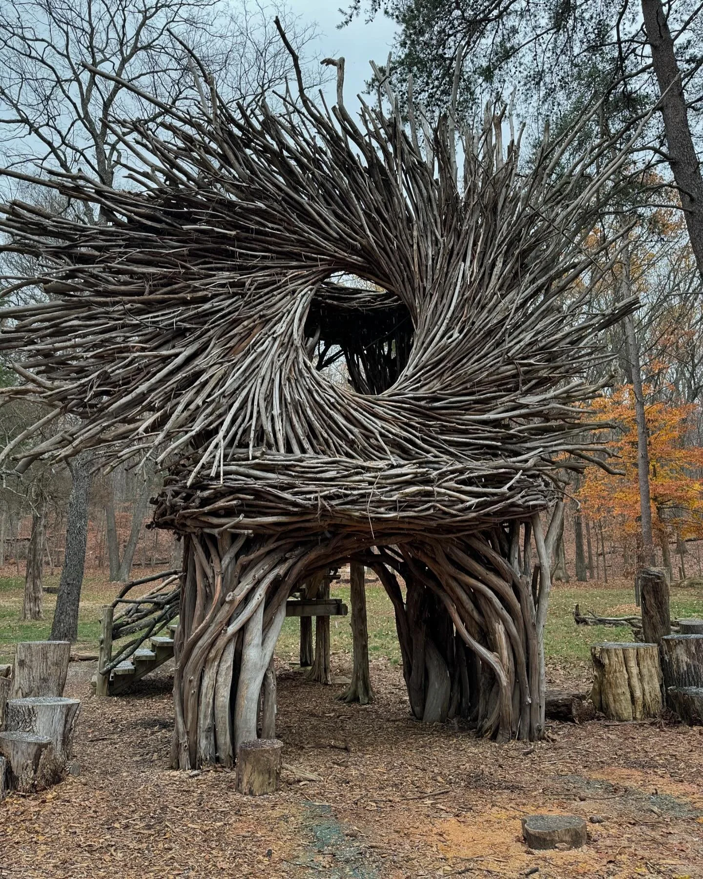Nice hike plus some cool art and snow today - my birthday excursion to @bernheimforest (finally). So close to Louisville!
#artistinky
#landart
#winterhike
#nowcake