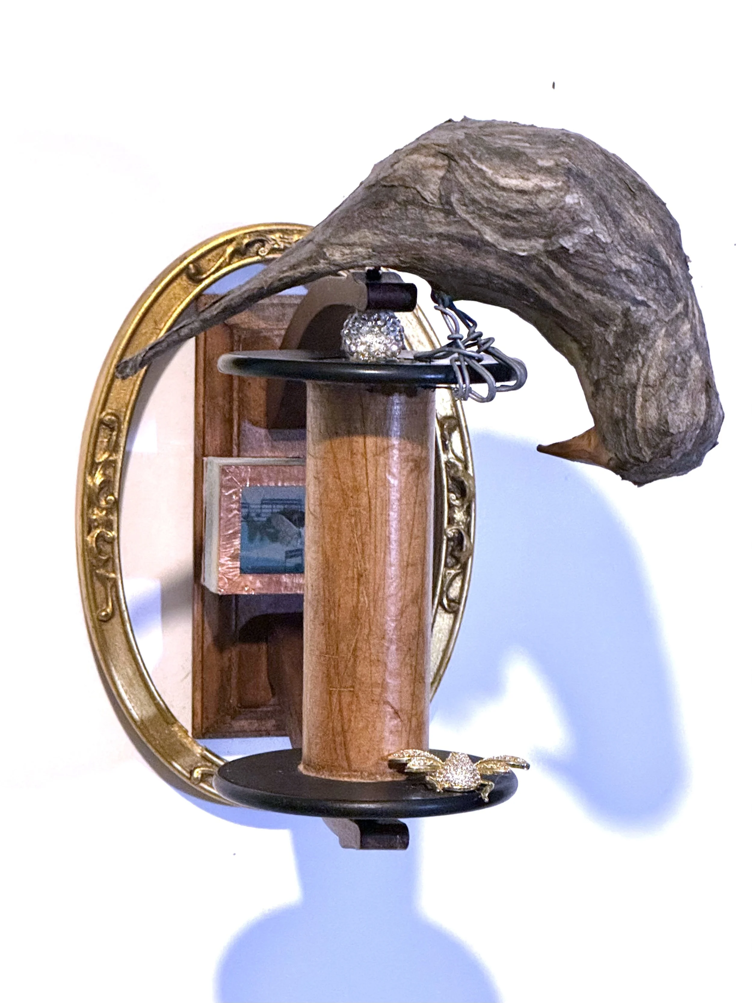 Stalking Spoolpecker.jpg