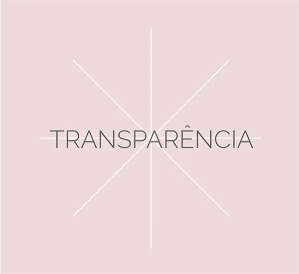 JulianaFabrizzi_transparencia.jpg