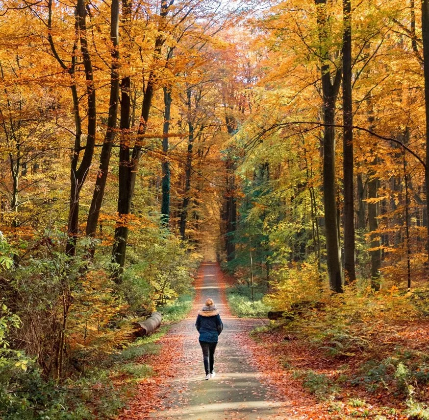 Unplug and Connect with Nature 
