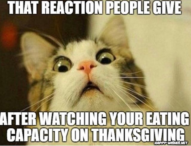 Let the face stuffing begin! chomp. nom. Happy Thanksgiving!!! slurp. burp. ⁠
#gobblegobble #timetogetbasted #onlyhavepiesforyou #turkeyyay #yesicran #ohmygourd #weareaperfectmash #gravylife⁠