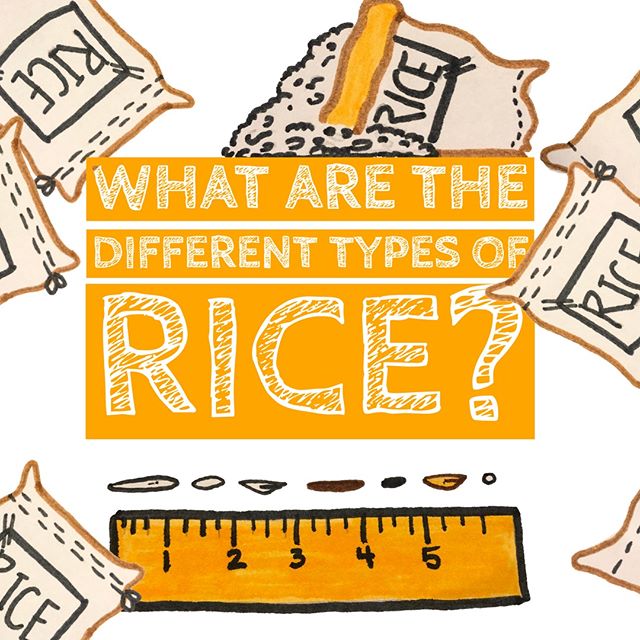 Rice is one of my favorite ingredients~ spanning multiple cuisine types and ranging in flavor from sweet and starchy to earthy and savory. I love rice. All chefs love rice. It's one of the world's most widely consumed foods. ⁠
🍚🍚🍚🍚🍚🍚⁠
There are