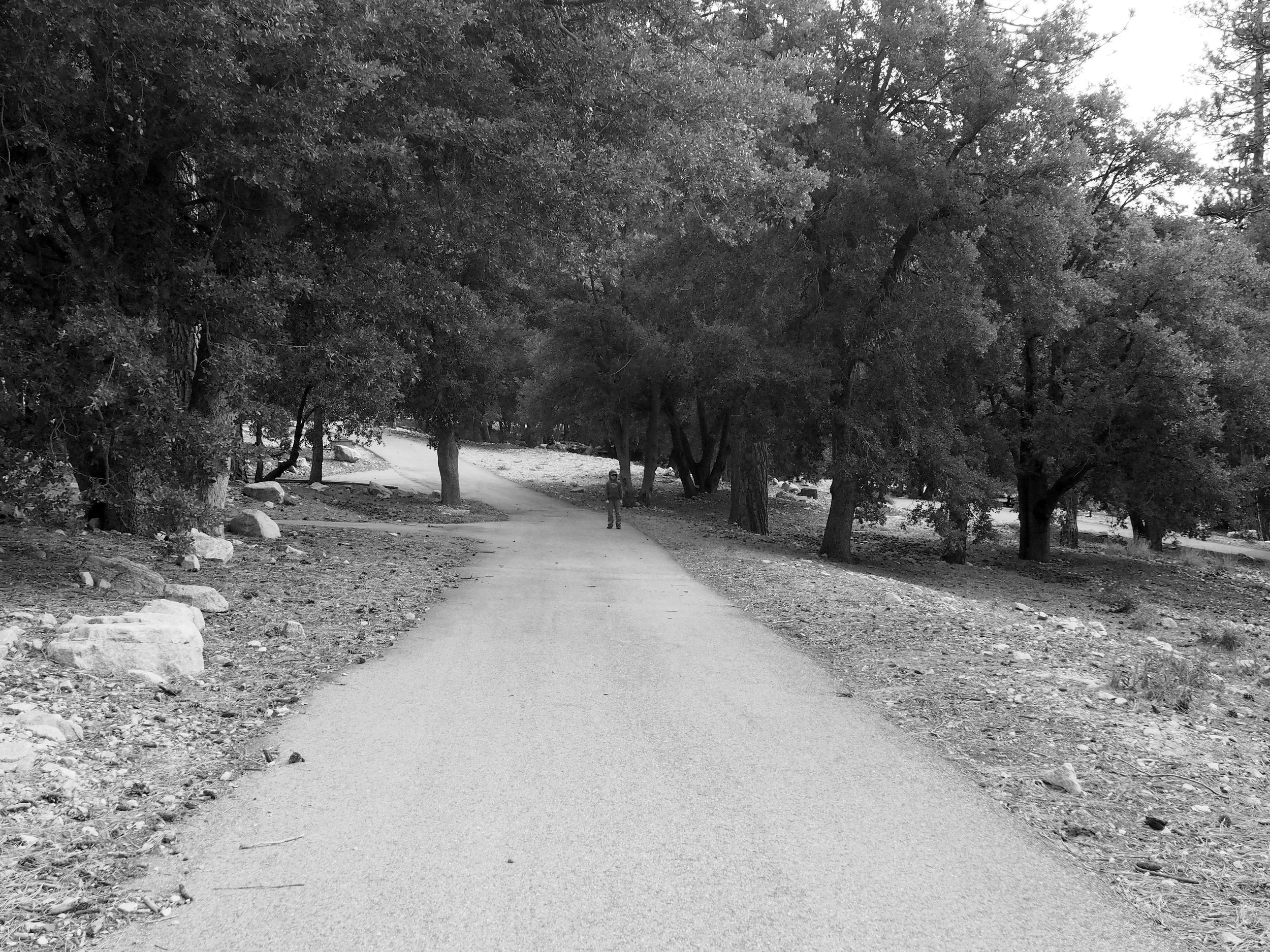 crystallake02bw.jpg