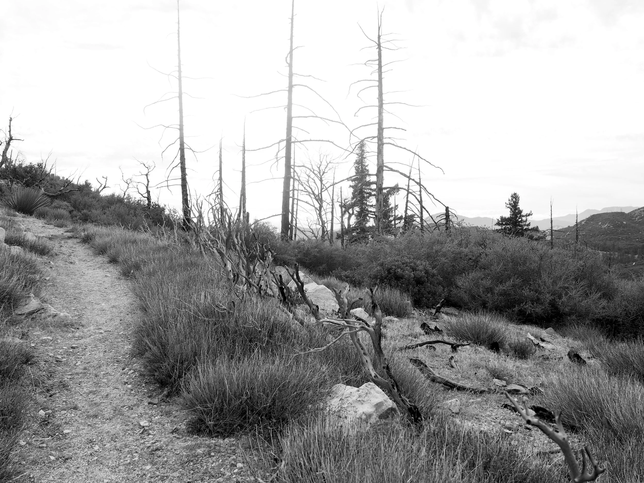 crystallake04bw.jpg