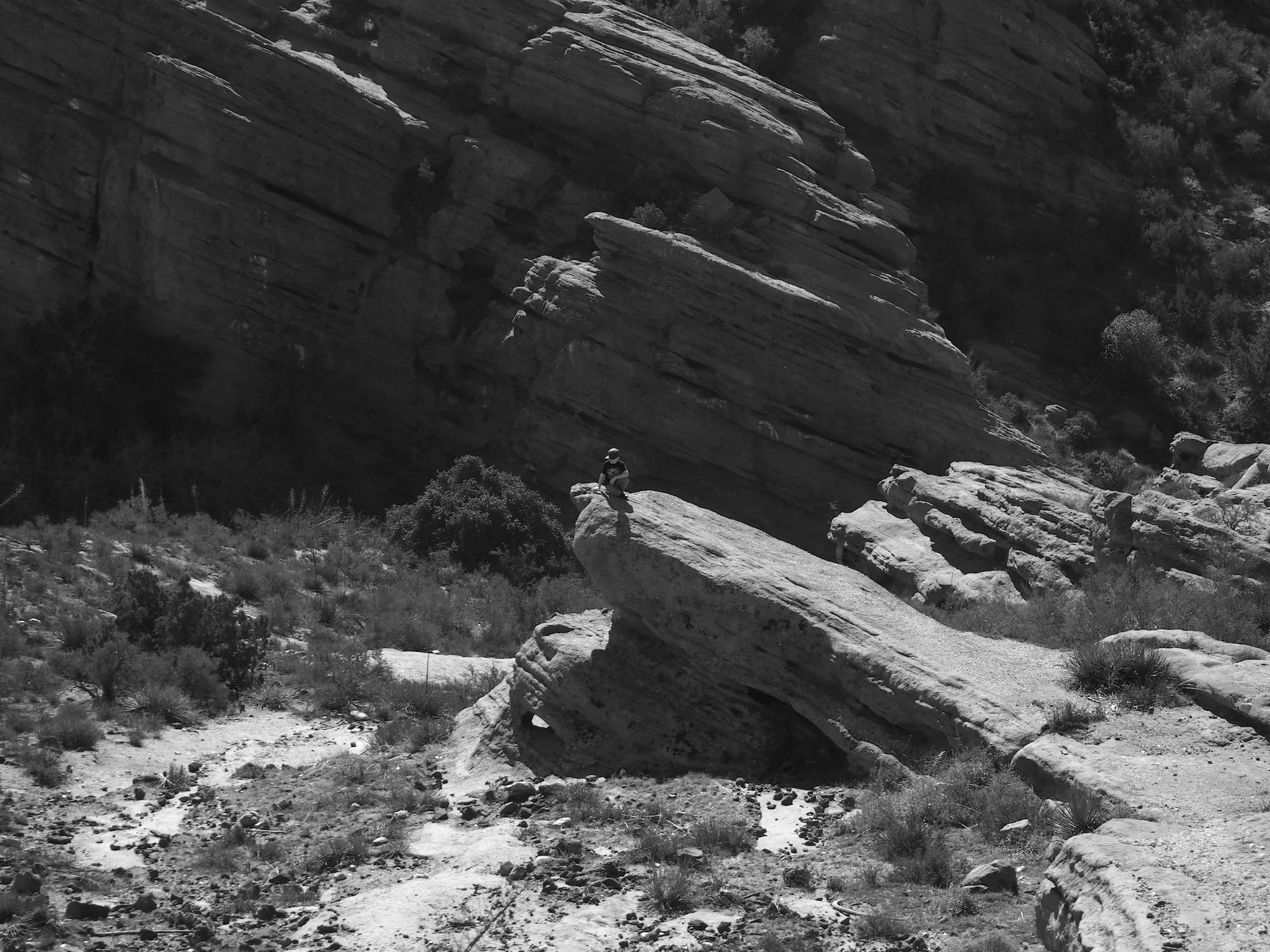 valentines09bw.jpg