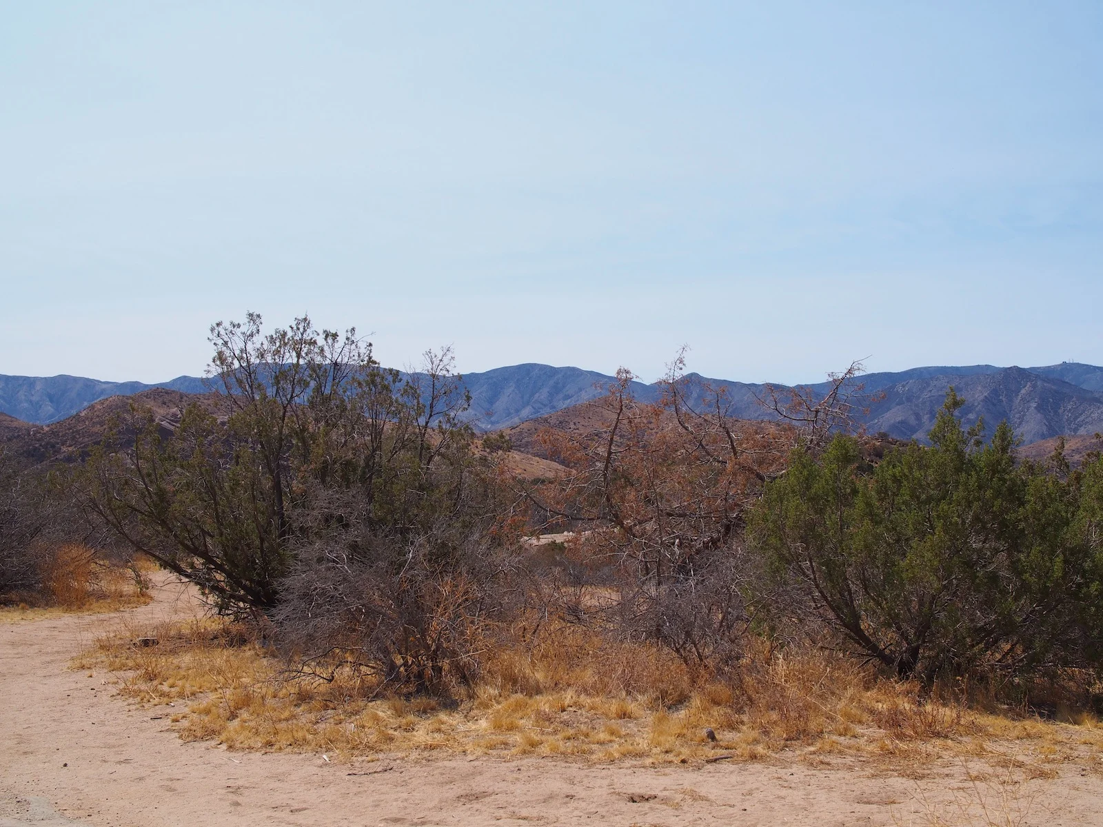 vasquezP8204754.jpg