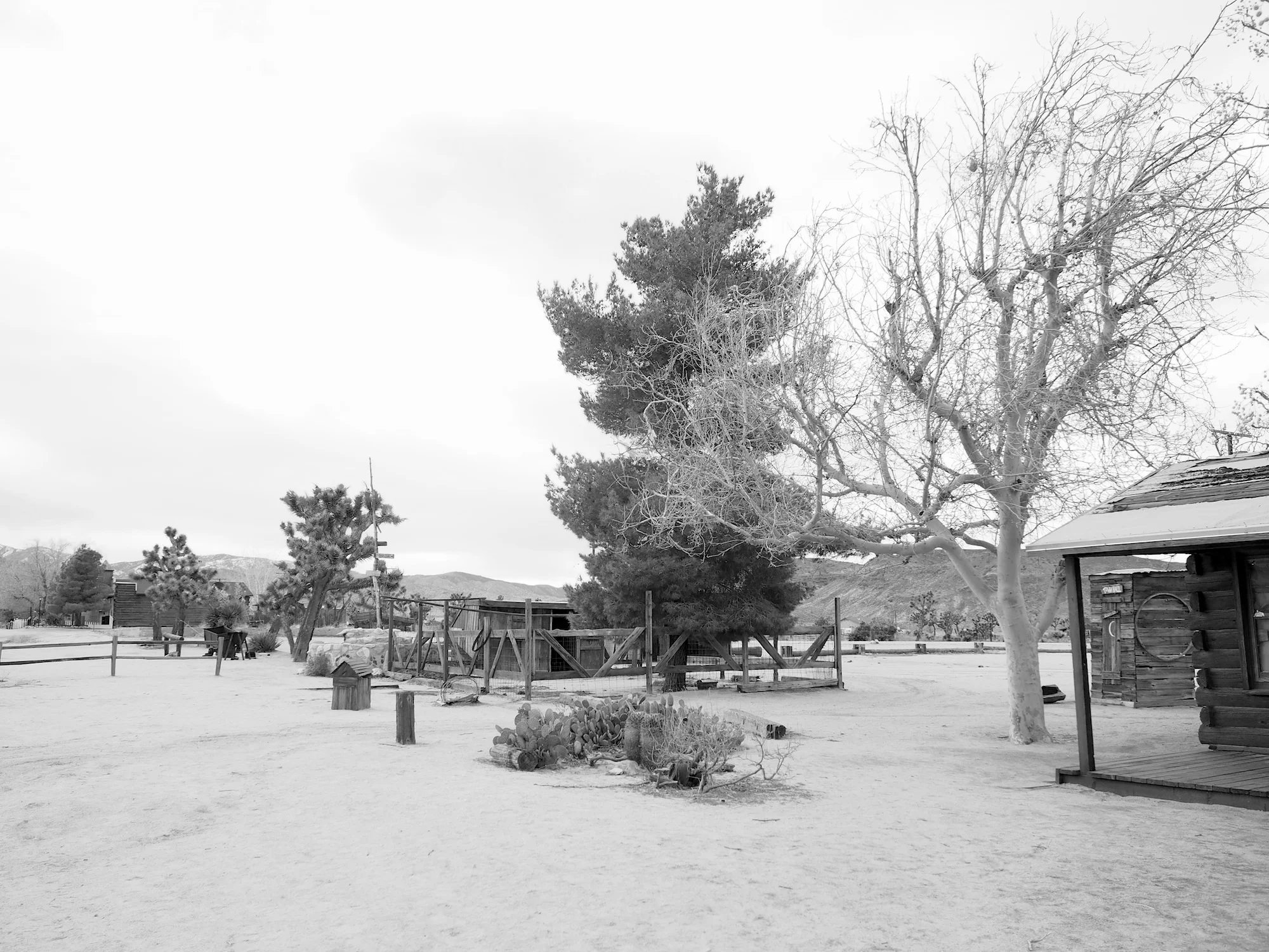 pioneertown23bw.jpg