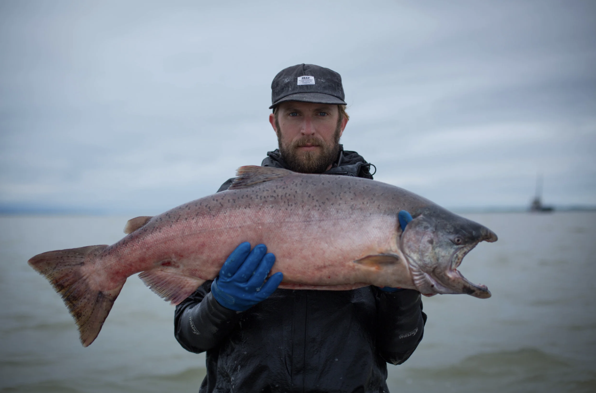 Starbird Fish: Fresh Vermont Seafood with a Story
