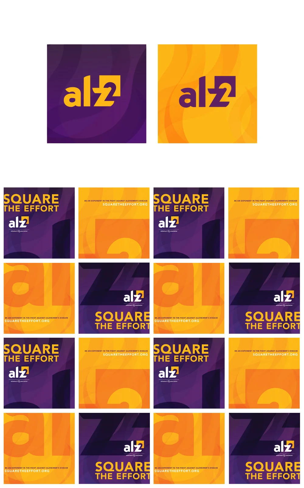 Informational Mini Brochure