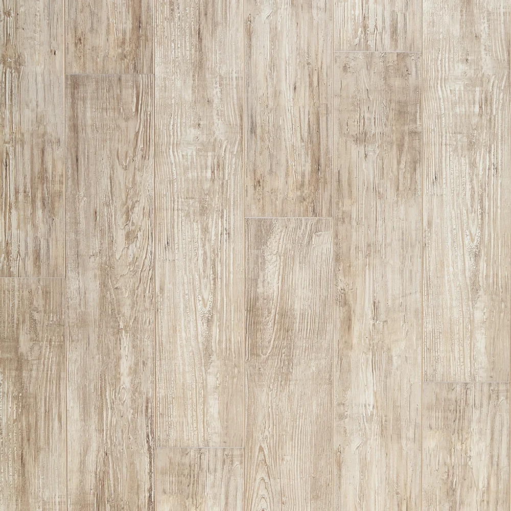 Nantucket Sea Shell.jpg