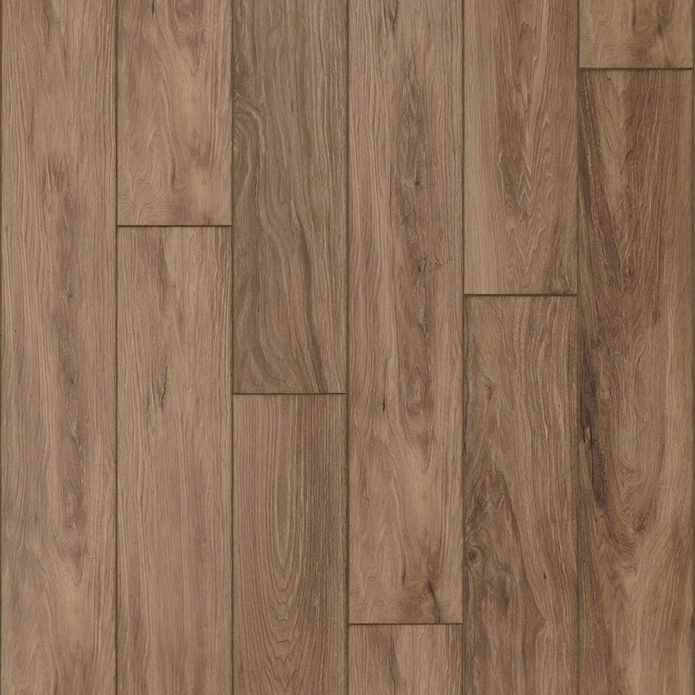 Weathered Ridge Earth.jpg