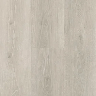 Silver Shadow