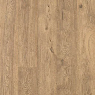 Sandbank Oak