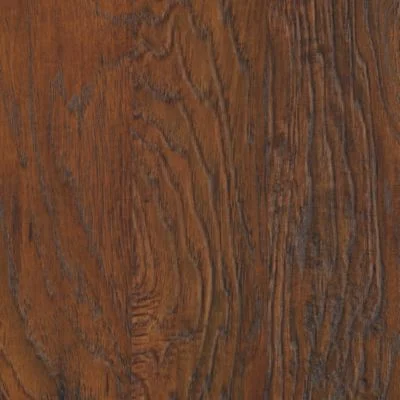 Southern Autumn Hickory.jpg