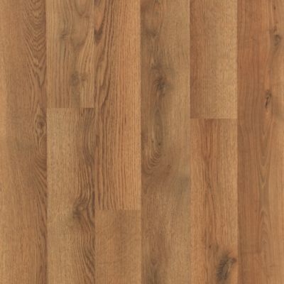 Cambridge Oak.jpg