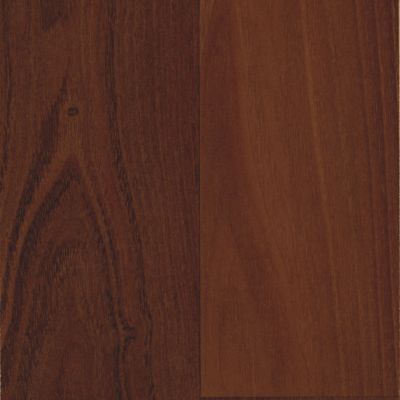 Vineyard Acacia.jpg