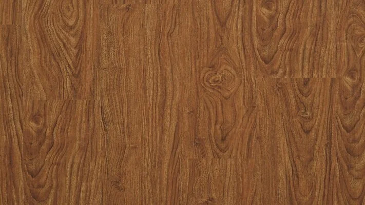 chestnut-amber-acs723FEATURE.jpg