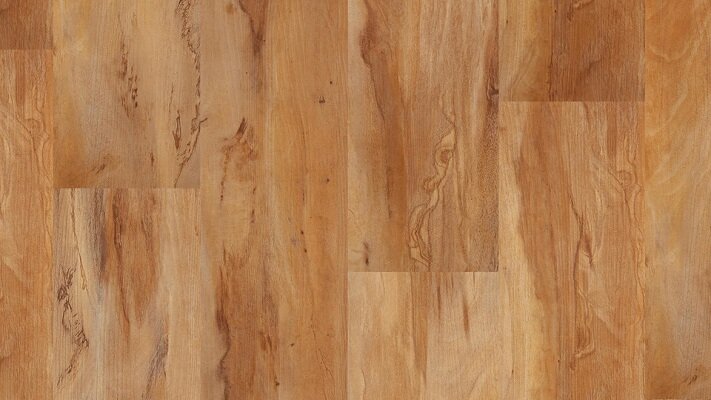 maple-spalted-acs725FEATURE.jpg
