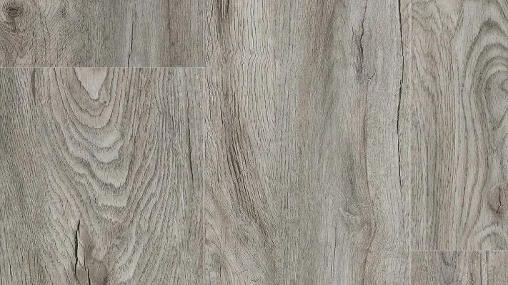 Champion-Oak-BurdenFT.jpg