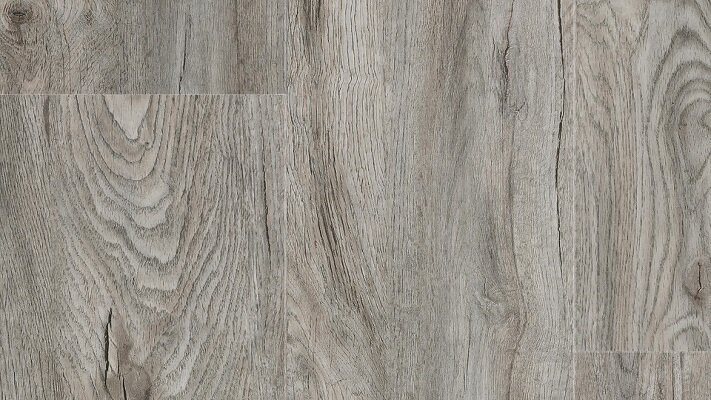 Champion-Oak-BurdenFT.jpg