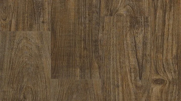 Long-Pine-UmberFT.jpg