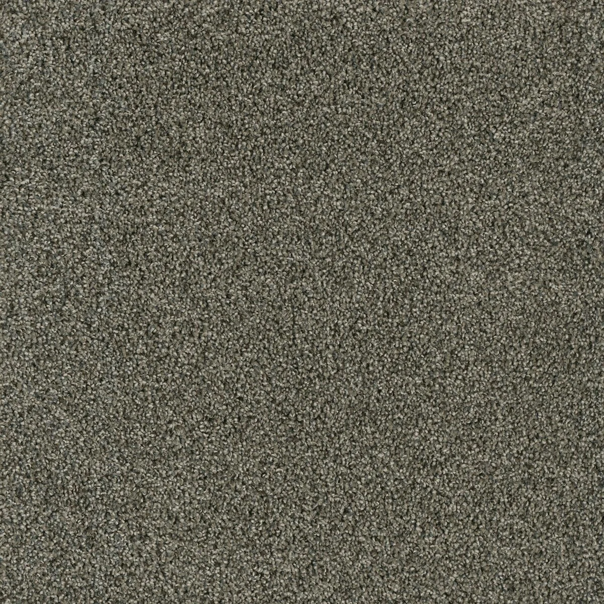 1324_427__24197.1579013868.jpg