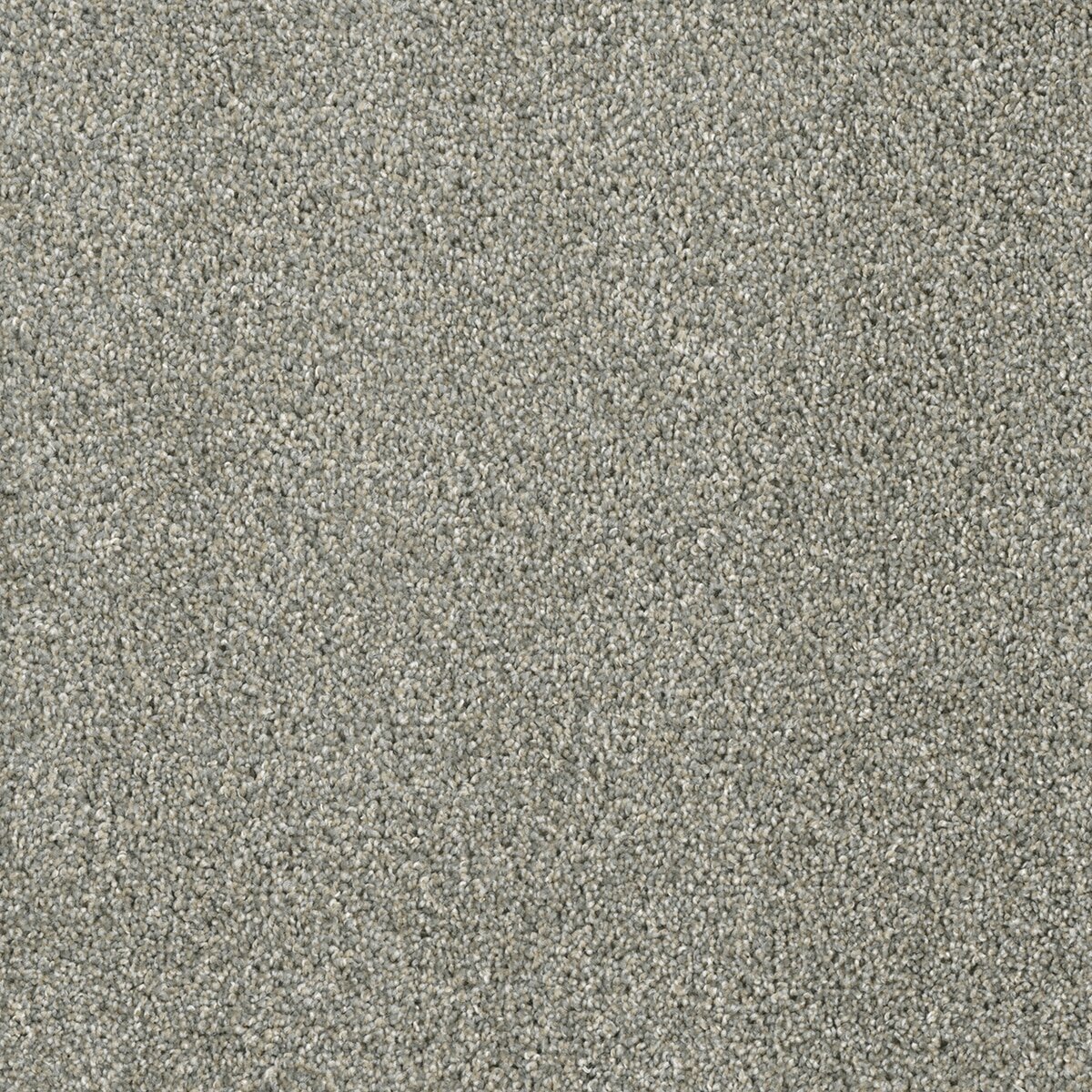 1324_495__63656.1579013868.jpg