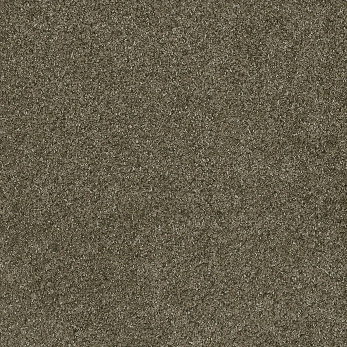 6240_245__51282.1579018812.jpg