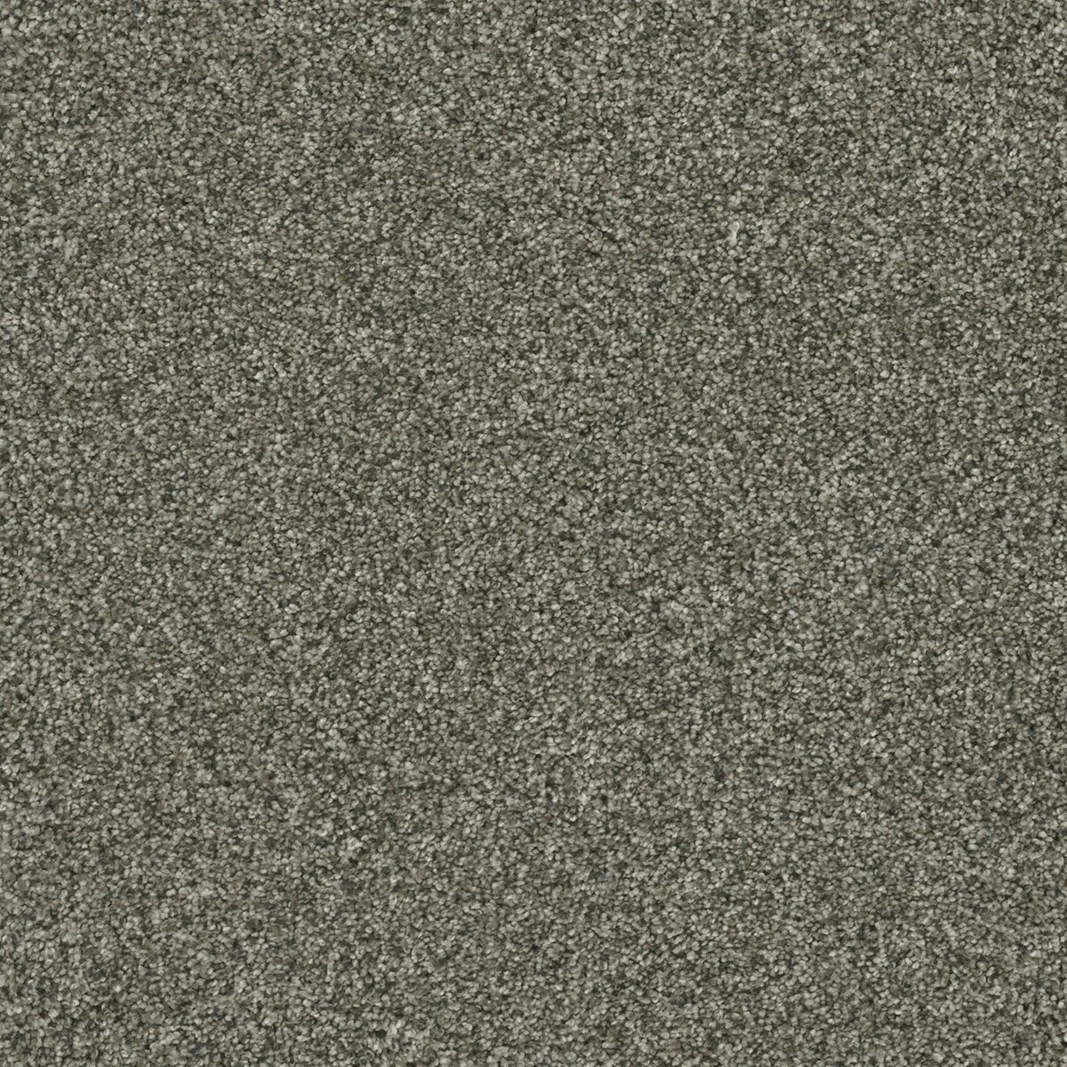 6240_197__66035.1579018812.jpg