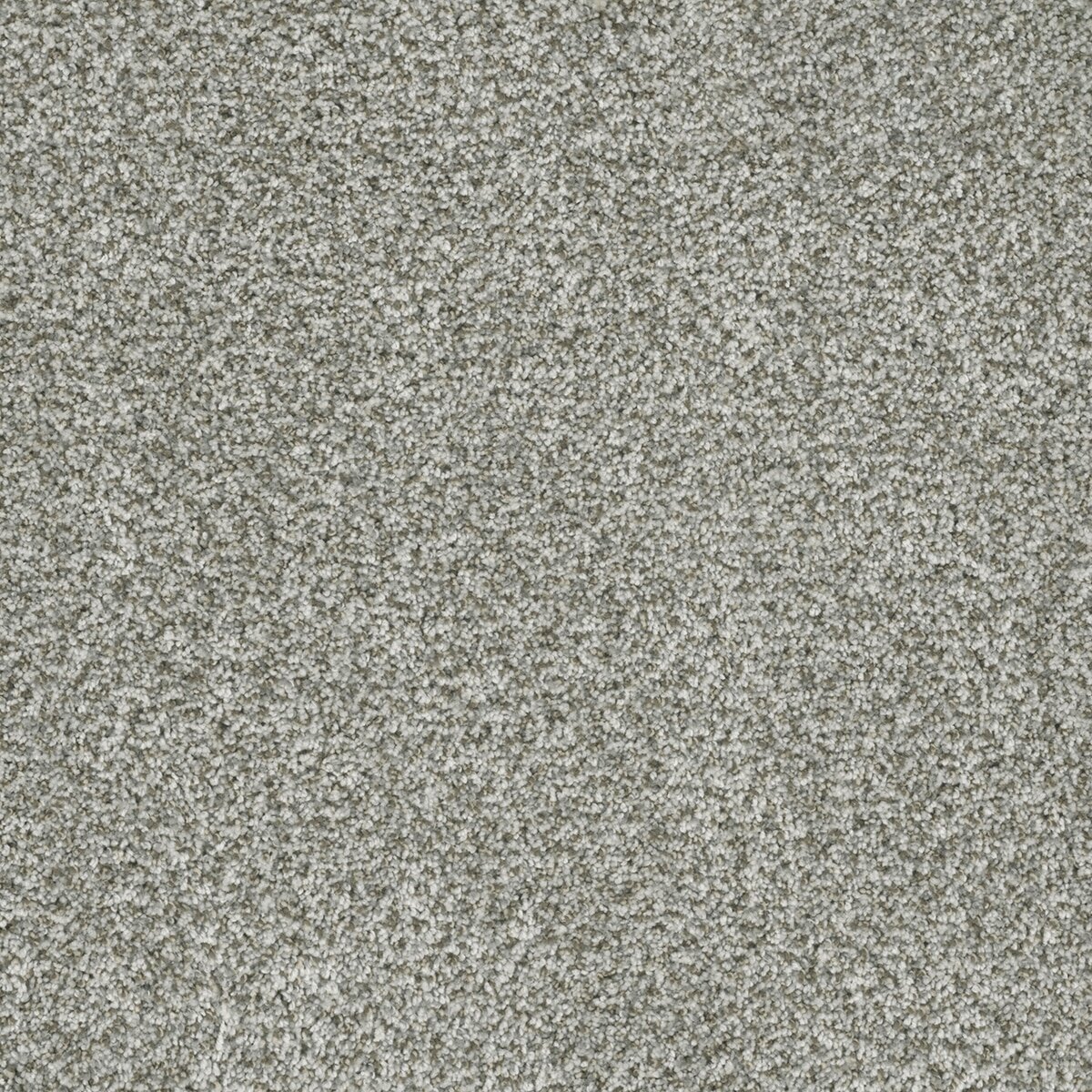 6240_407__40132.1579018812.jpg