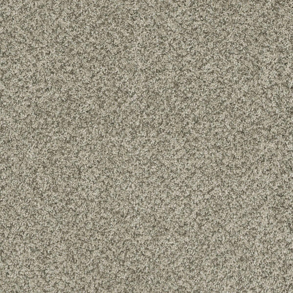 6240_596__28630.1579018910.jpg